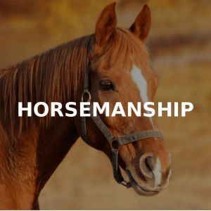 HORSEMANSHIP